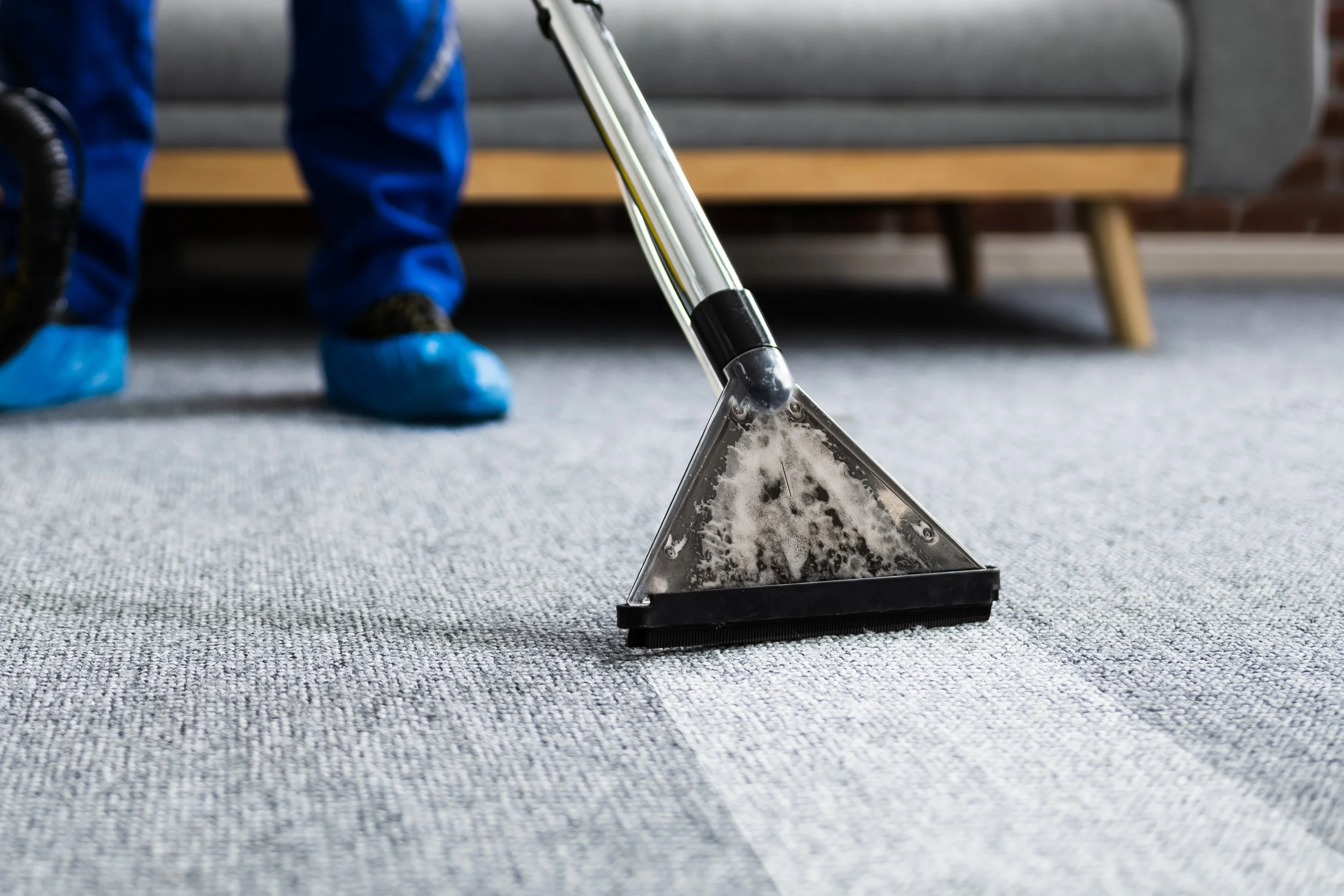 Professional carpet cleaner deep cleaning a residential carpet in a Los Angeles home