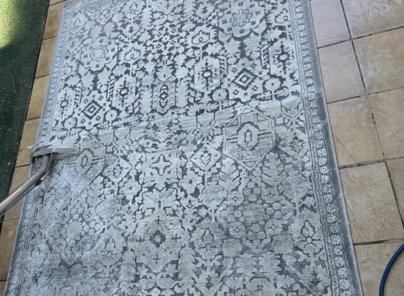 Professional cleaning process on an area rug removing stains, dirt, and allergens to restore the rug’s texture and appearance