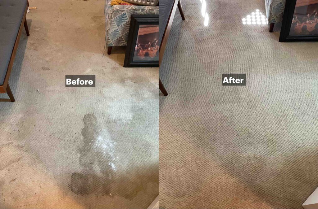 Bedroom carpet heavily stained by pet accidents before cleaning and looking fresh and clean after professional deep carpet cleaning.